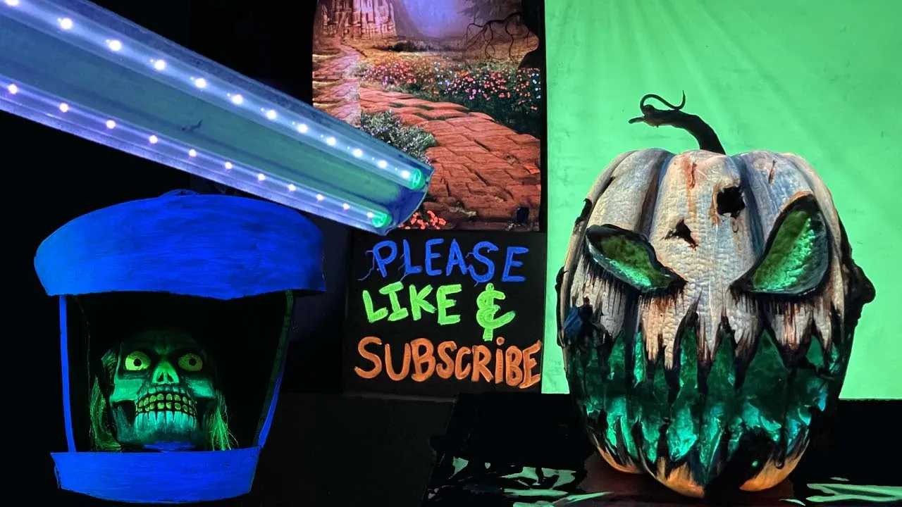 Load video: Best Blacklight on the market in this video!